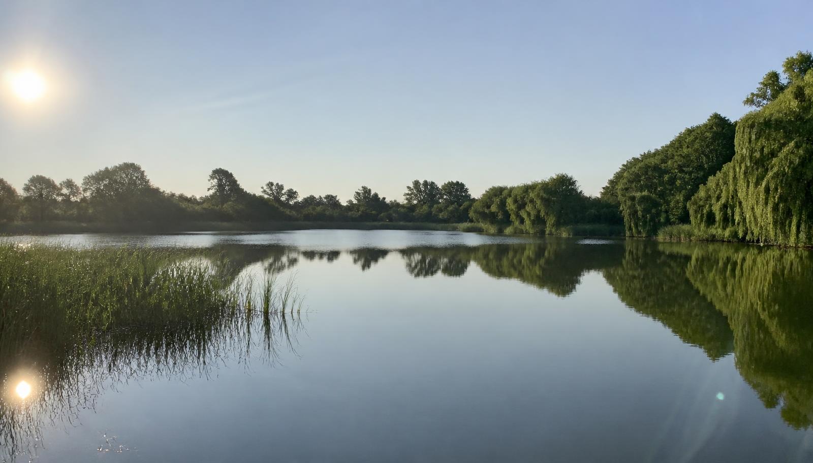 Fishing High and Low Pressure for Carp