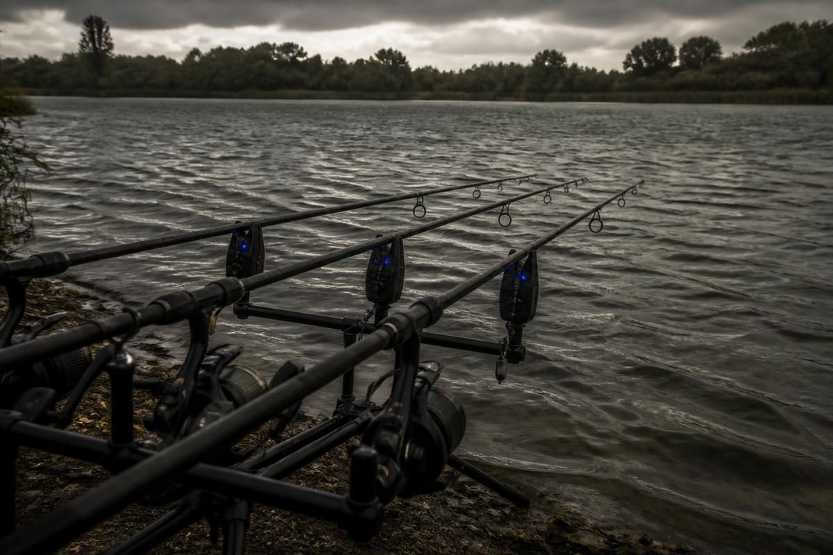 Fish smarter every session