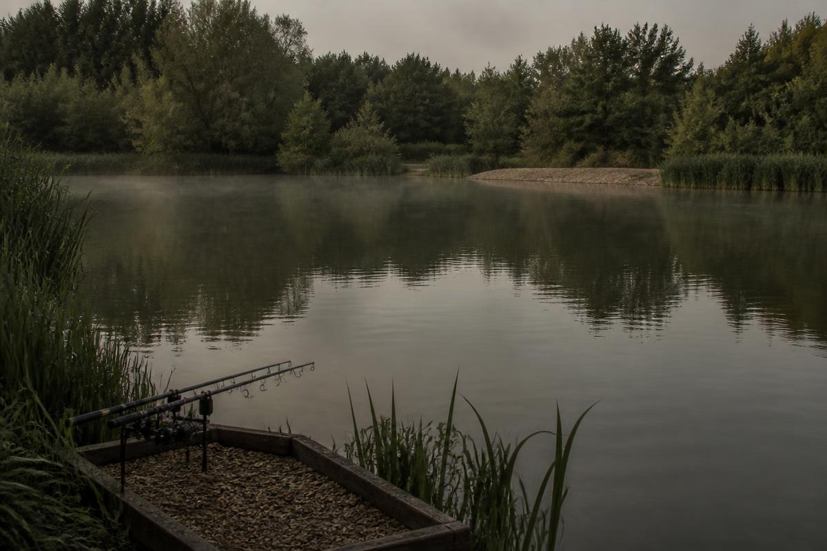 Find better carp waters