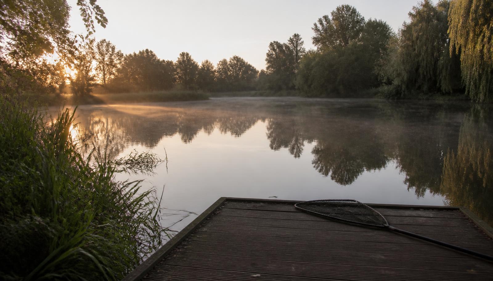 Premium Carp HQ listing preview of an English carp lake at first light