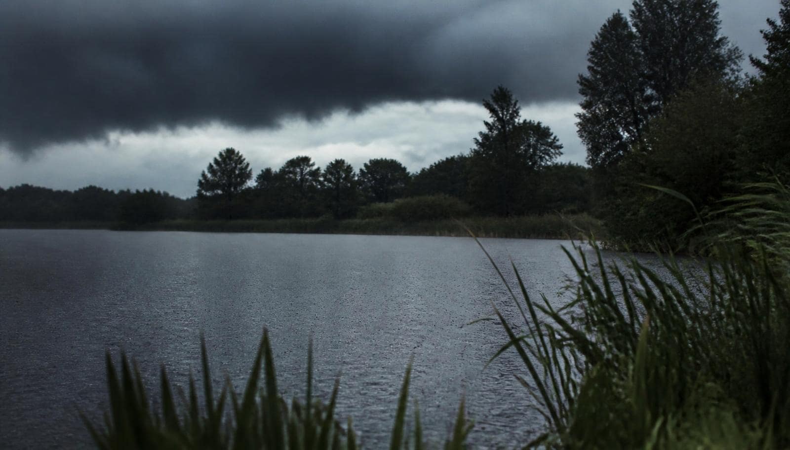 When the Sun Turns to Rain: How to Approach a Carp Lake After the Weather Changes